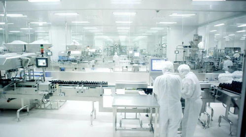 重磅推出 珠海 網(wǎng)紅打卡地 板障山隧道 野貍島 日月貝 大劇院 湯臣倍健 橫琴芒洲濕地公園純玩一天